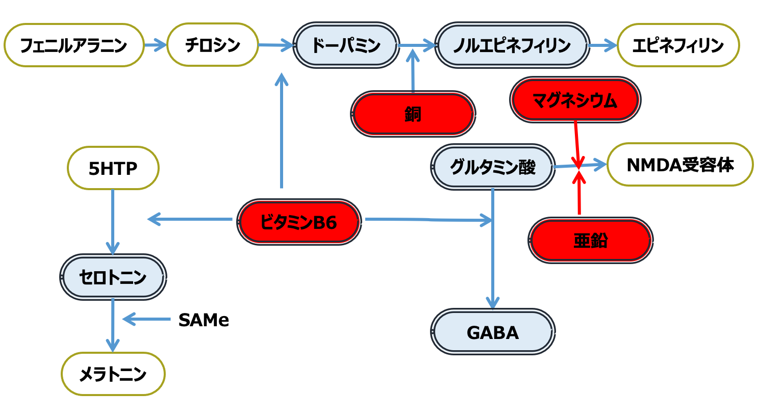 ノルエピネフリンヘミ酒石酸塩ヒポレイバーのリーフレット